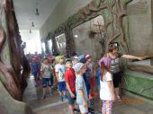 Foto - 14